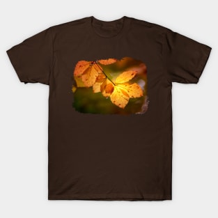 autumn leaves T-Shirt